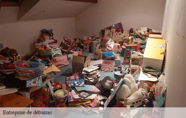 entreprise-de-debarras